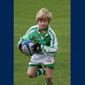 Click to enlarge Budding Lion? Archie Comparelli (10-2121)