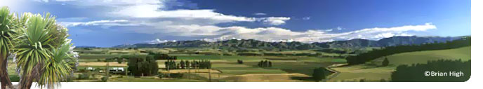 banner